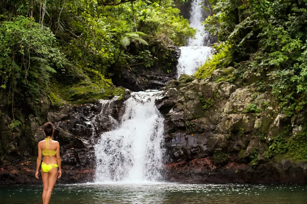 Taveuni Island Resort & Spa image 12