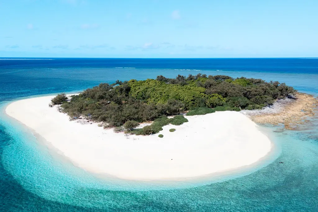 Wilson Island image 4