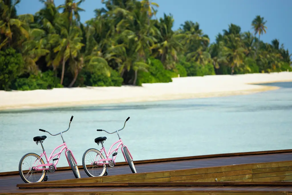 Pullman Maldives Maamutaa image 8