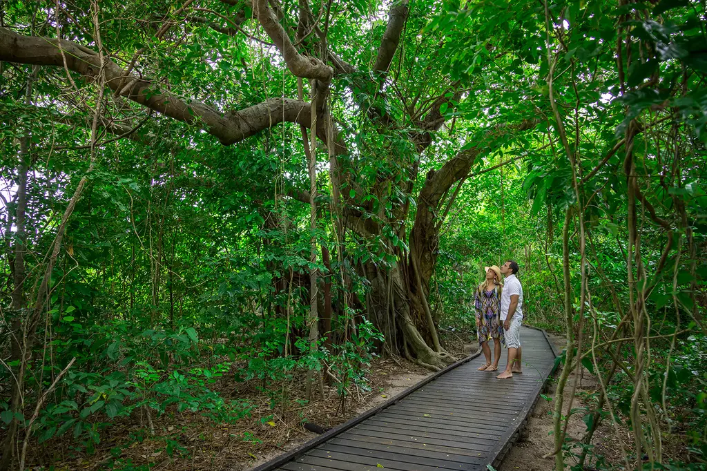 Green Island Resort image 6