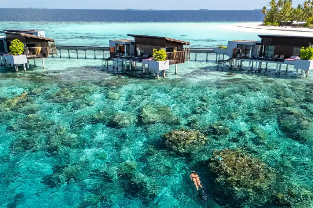 Park Hyatt Maldives Hadahaa image 5