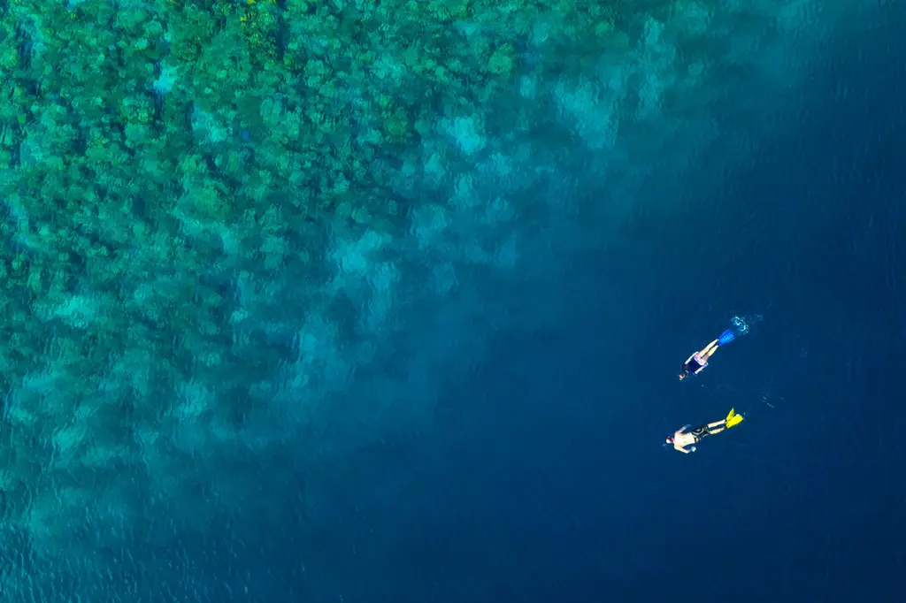 The Standard, Maldives by Hyatt image 9