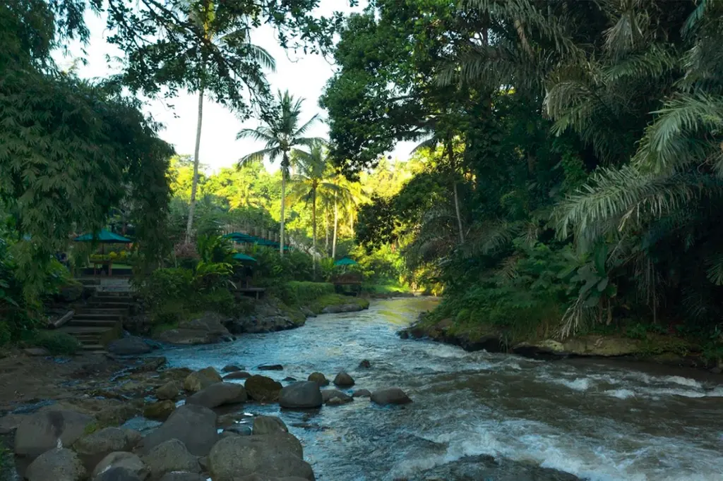 The Samaya Ubud Bali image 15