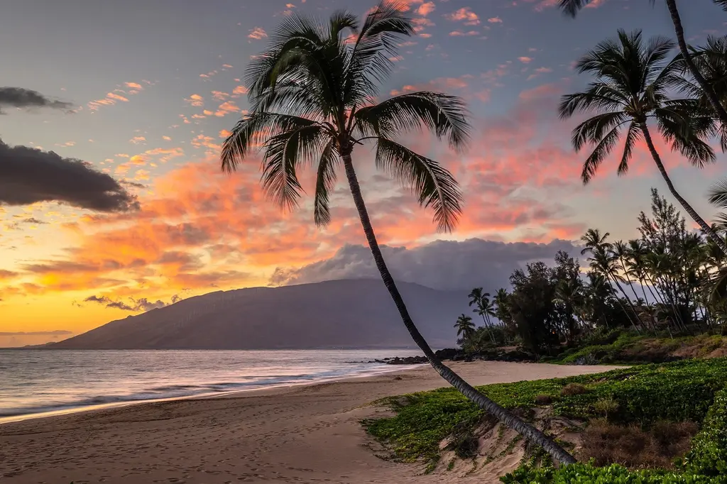 Royal Lahaina Resort & Bungalows image 5