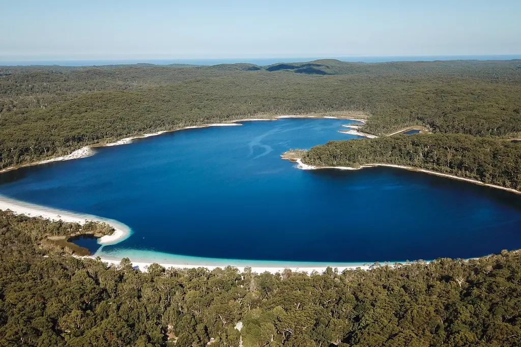 Kingfisher Bay Resort image 4