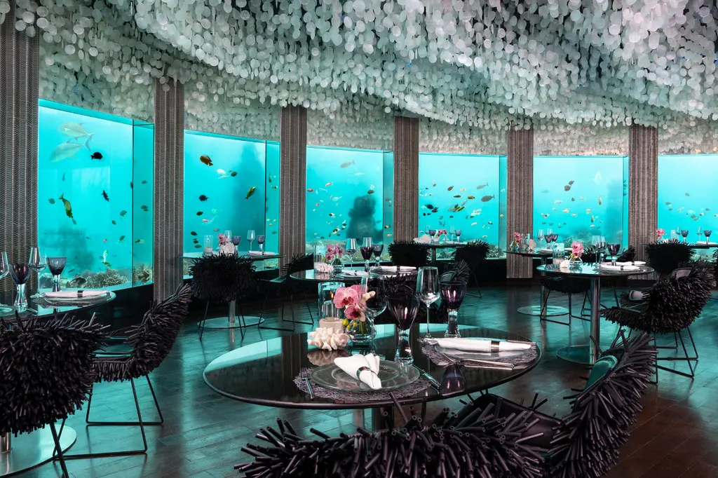 Niyama Private Islands Maldives image 8