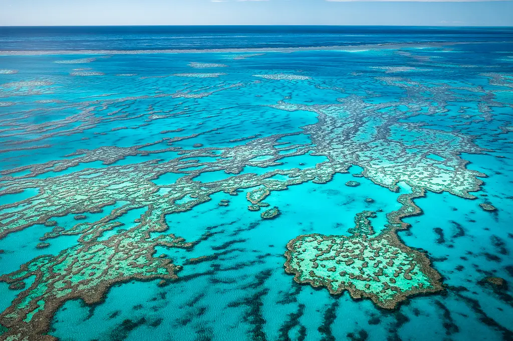 Meridian Port Douglas image 8