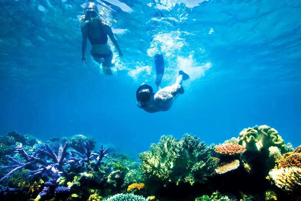 Oaks Port Douglas Resort image 10