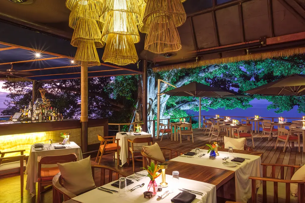 Royal Davui Island Resort image 9