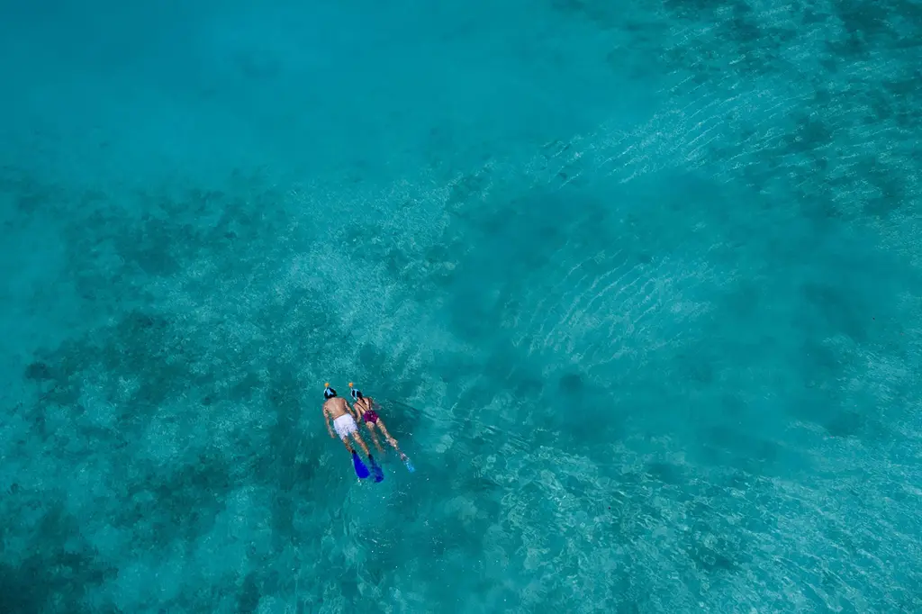 Anantara Veli Maldives Resort image 8